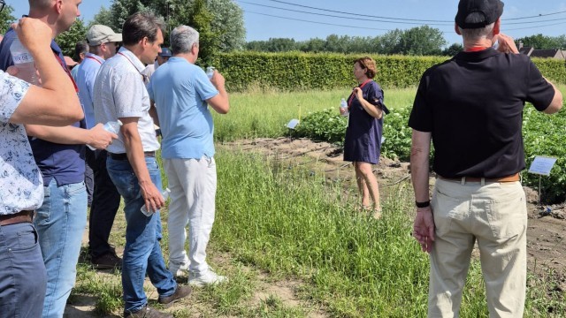 Kostenefficiënt naar een duurzame aardappelteelt door Ilse Eeckhout